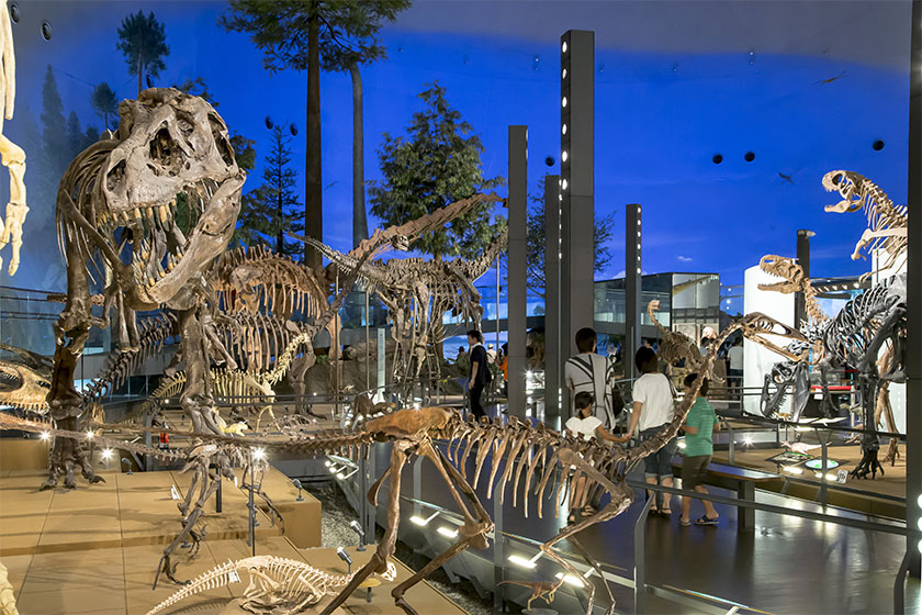 恐竜博物館直通・周遊ループバス「あわら恐竜号」のご案内